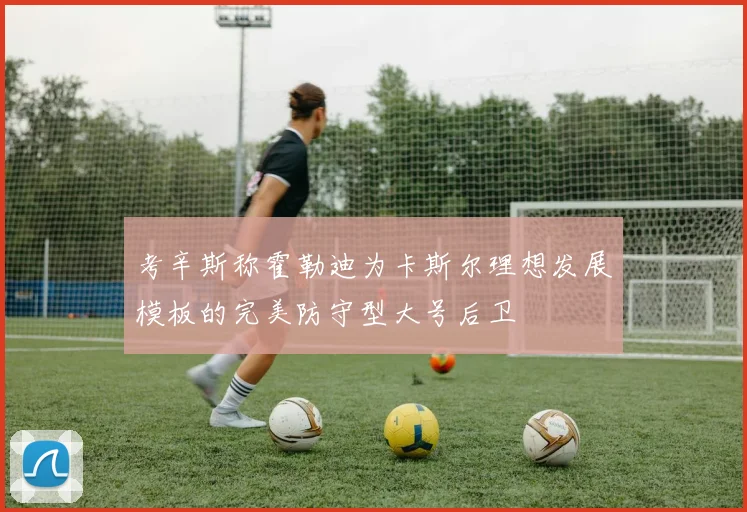 考辛斯称霍勒迪为卡斯尔理想发展模板的完美防守型大号后卫